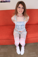 Introducing The Valentine Fox